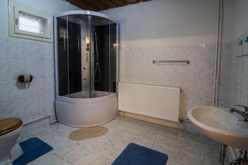 een badkamer met een douche en een wastafel bij Dobra Haz in Covasna