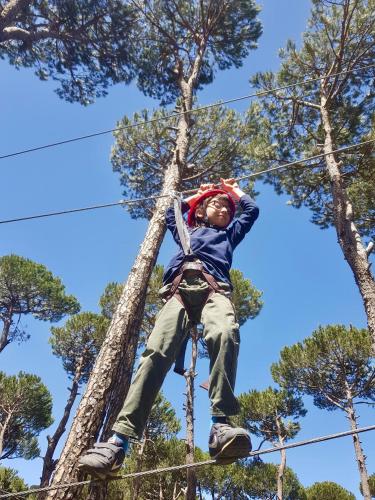 a young boy hanging from a tree at La Maison des Sources in ‘Ayn Zḩaltā