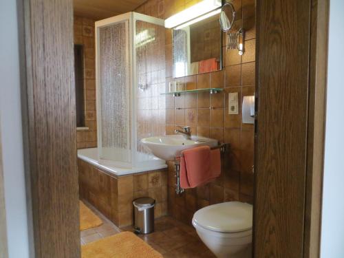 uma casa de banho com um lavatório, um WC e um espelho. em Pension Leppert em Bischofsgrün