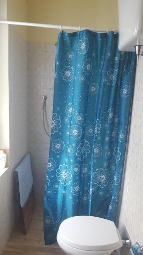 a bathroom with a blue shower curtain with a toilet at Appartamento via della Posterna Spoletium in Spoleto