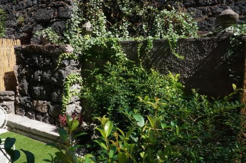a garden with a stone wall and plants at Casa Gisé in Aci Castello