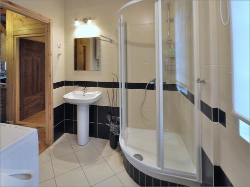 La salle de bains est pourvue d'une douche et d'un lavabo. dans l'établissement mazury-dom, à Świętajno