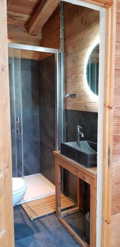 une salle de bain avec un lavabo et une douche dans l'établissement Chalet Ciamarella, à Lanslevillard