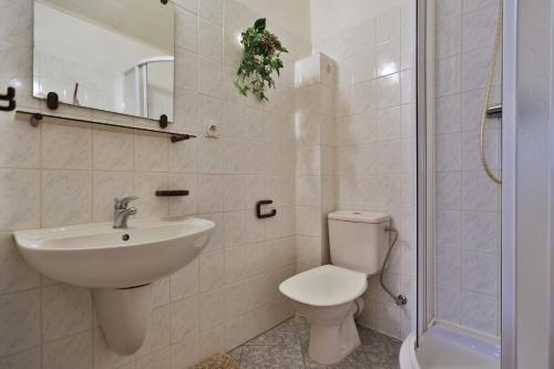 ein Bad mit einem Waschbecken, einem WC und einer Dusche in der Unterkunft Tradice (U Bendů) in Pernink