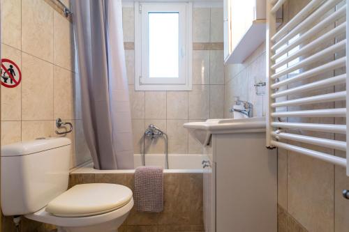 ein kleines Bad mit WC und Waschbecken in der Unterkunft Lovely Apartment Xylokastro 4th Floor in Xylokastro