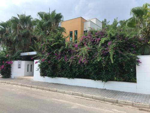 a white fence with purple flowers on it at Villa Diva in Kemer