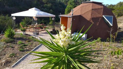 a garden with a small building and a plant at vale das cupulas in Figueiró dos Vinhos