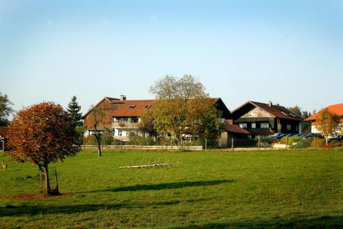 a tree in a field with houses in the background at Giglerhof in Bad Birnbach