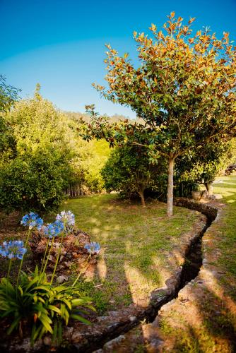 a garden with a tree and some blue flowers at Bosque de Xarás, casa completa con encanto cerca de playa de Lapamán in Marín