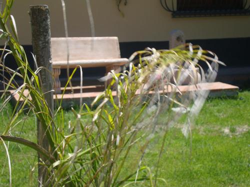 a bench sitting in the grass next to at Agriturismo Fieri in Botricello