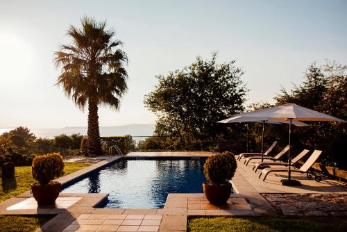 a pool with chairs and an umbrella and a palm tree at Bosque de Xarás, casa completa con encanto cerca de playa de Lapamán in Marín