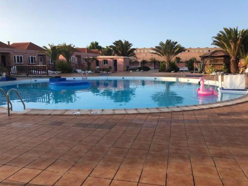 a large swimming pool with a pink flamingo in the middle at Paulalucía in Costa de Antigua