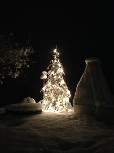 a christmas tree covered in snow at night at Cesa de Conesel in Colle Santa Lucia