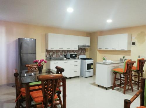 Кухня или мини-кухня в Apartamentos Roman
