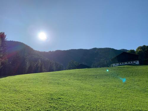 a grassy field with a house on a hill at Apartment HaNiLe in Sarntal