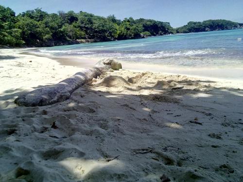 Gallery image of Porty Hostel in Port Antonio