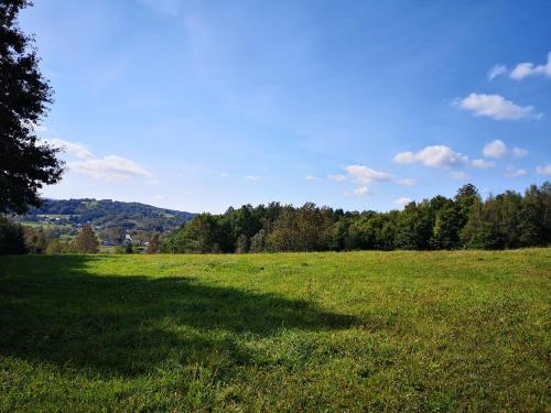 Gallery image of Zamek Ostrowski in Chojnik