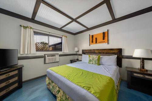 a bedroom with a large bed and a television at Caliente Tropics in Palm Springs