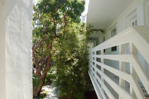 Casa Morada – Photos 5