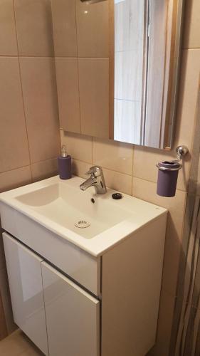 Koupelna v ubytování Apartment F6