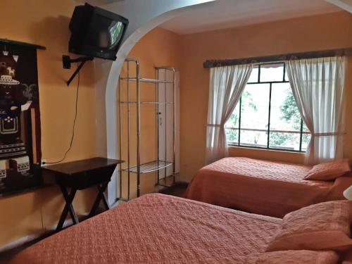 バーニョスにあるEl Pedron Hotelのベッドルーム1室(ベッド2台、テレビ、窓付)