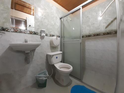 een badkamer met een toilet, een wastafel en een douche bij Hotel Sol y Mar in Curumaní