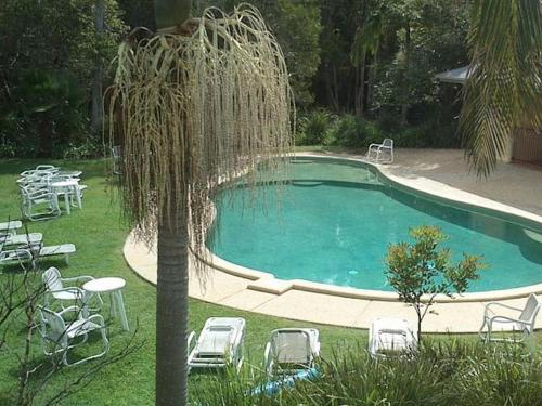 a swimming pool with chairs and a palm tree at Treetops Lakeside Apartments in Byron Bay