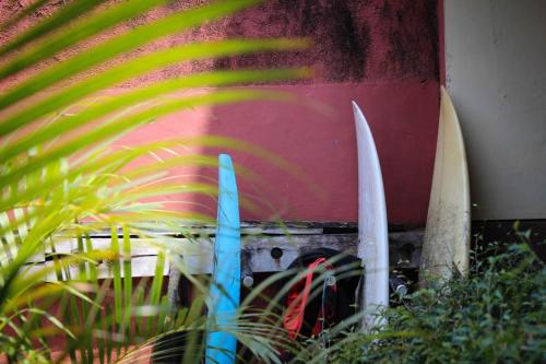 a group of surfboards leaning against a wall at Harrys Oceanhouse 2 Pacitan in Pacitan