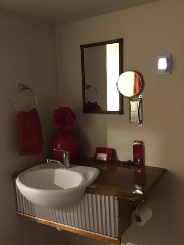 a bathroom with a sink and a mirror at Rossmount Rural Retreat in Goomboorian