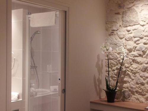 エクスレバンにあるHotel de la Couronneのバスルーム(シャワー、ガラスドア付)