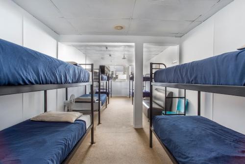 Двухъярусная кровать или двухъярусные кровати в номере Attic Backpackers