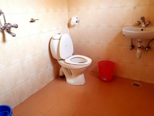 a bathroom with a toilet and a sink at Hotel Diplomat in Pokhara