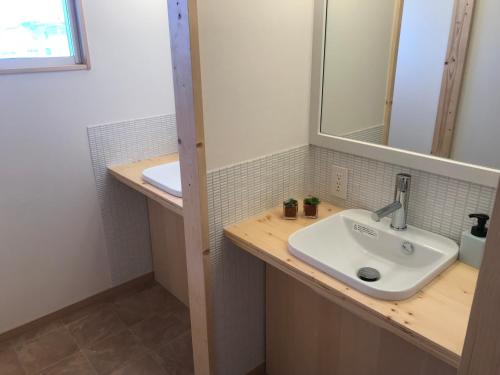 a bathroom with a sink and a mirror at Sapporo Guest House 庵 Anne in Sapporo