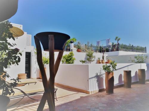 a black chair in front of a white wall with potted plants at Riad Bab aylen - Piscine Roof Top chauffée in Marrakesh