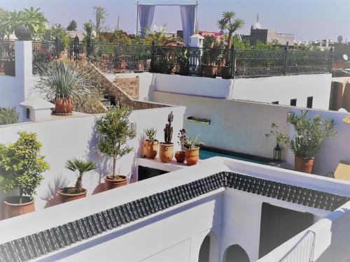 Balkón nebo terasa v ubytování Riad Bab aylen - Piscine Roof Top chauffée
