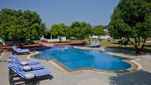 basen z leżakami w parku w obiekcie Club Mahindra Sasan Gir w mieście Sasan Gir