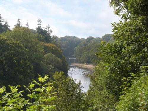 a river with trees and a bridge in the distance at The Bothy in Leyburn