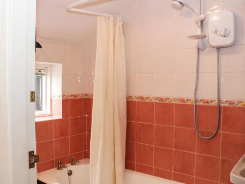 a bathroom with a shower curtain and a tub at Tuc - Tin in Clun