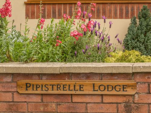 Pipistrelle Lodge – Photos 3