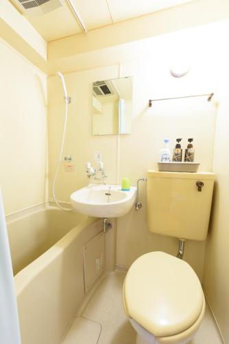 a bathroom with a toilet and a sink at Luxes Hiroshima2030 ラクセス ヒロシマ2030 in Hiroshima