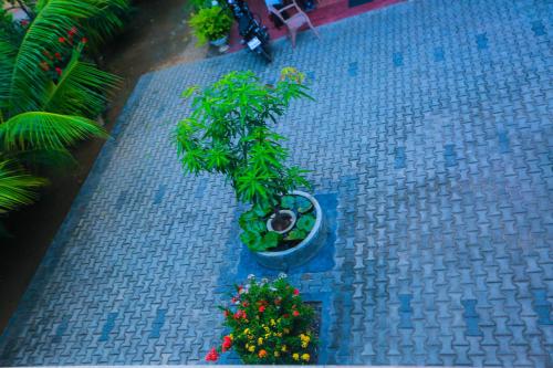 an overhead view of a patio with plants and flowers at SRI LANKAN VILLA in Galle