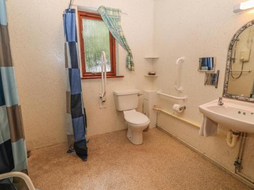 BeaworthyにあるWoodpeckerのバスルーム(トイレ、洗面台付)、窓が備わります。