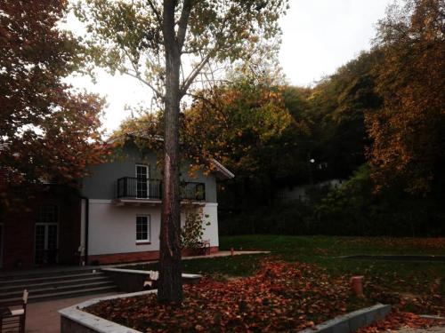 a house with a tree in front of it at Varga Villa in Orfű