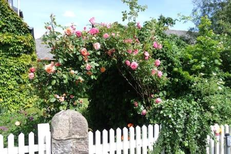 a white fence with a bush with pink roses at Gemütliche Premium Öko Ferienwohnung in Resthof, super ausgestattet, keine Handwerker und Monteure in Sterley