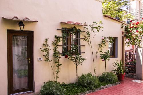 Lovely nest near Florence city center