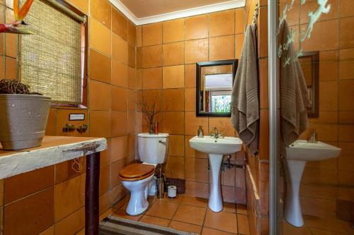 a bathroom with a toilet and a sink at Ulwazi Rock Lodge in Hazyview