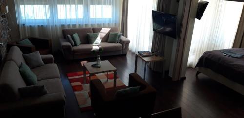 a living room with a couch and a chair at TIHANY (BALATON), BEST VIEW, SPACIOUS WELLNESS, CENTRAL , 50m BEACH in Tihany