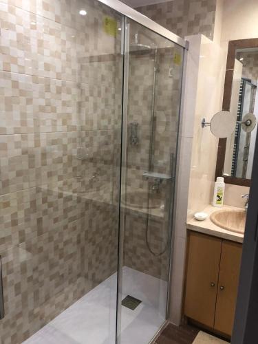a glass shower in a bathroom with a sink at El Balcón de Sevilla in Seville