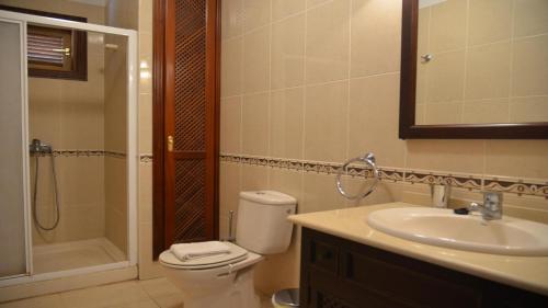 La salle de bains est pourvue de toilettes, d'un lavabo et d'une douche. dans l'établissement Apt. Heliconia Nº 6, à Valle Gran Rey