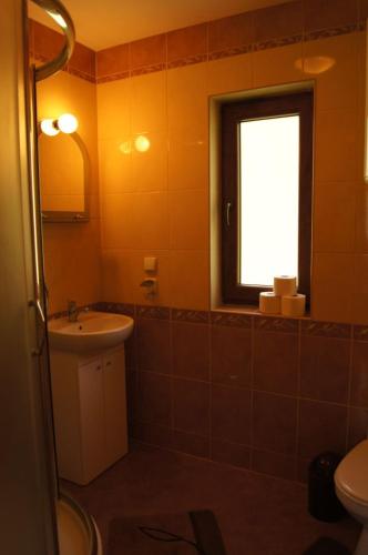 a bathroom with a sink and a toilet and a window at Domki Góralskie Niezapominajka w Bieszczadach in Górzanka